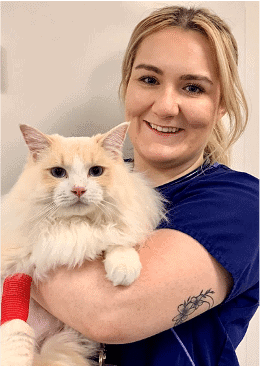Cat Friendly Clinic