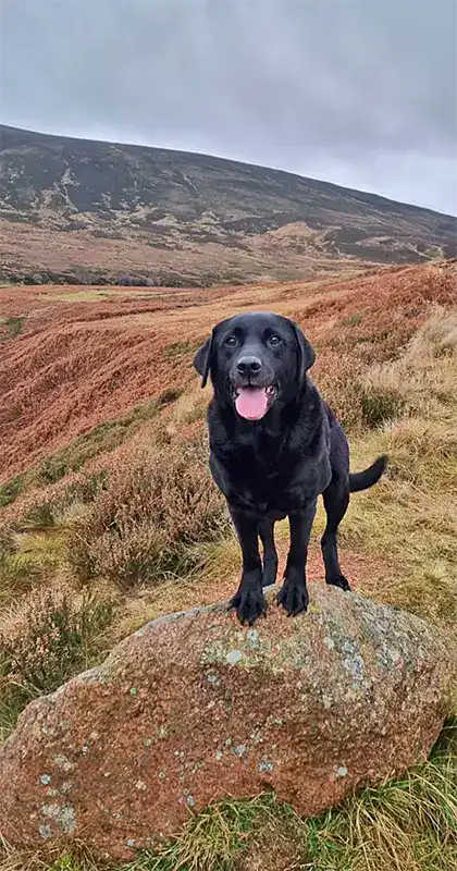 Glen Beaton walking in the hills