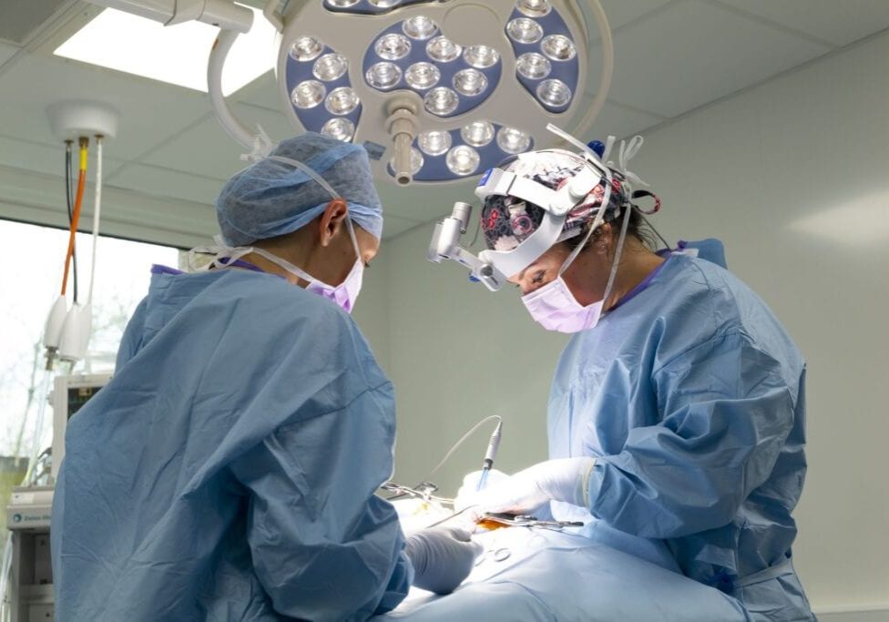 neurosurgery being carried out